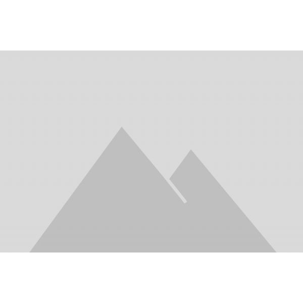 A20B-3300-0768 - 66672