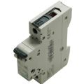 5SL4101-8CC - 60191
